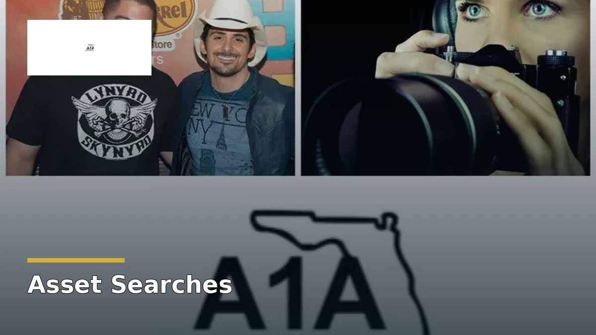 Asset Searches in Florida