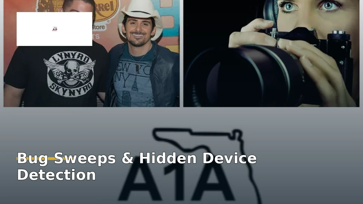 A1A Investigators bug sweeps and hidden device detection in Florida